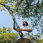 Podadora Extensível Husqvarna S/Fio Aspire™ + Bateria + Carregador